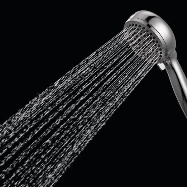 ProClean™ Hand Shower Delta Faucet