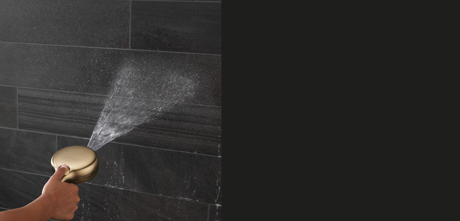 ProClean™ Hand Shower Delta Faucet