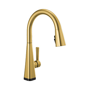 Pull-Down Faucet with Touch2O® Technology