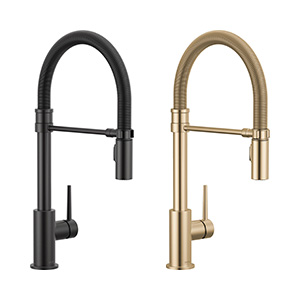 Trinsic® Pull-Down Spring Faucet