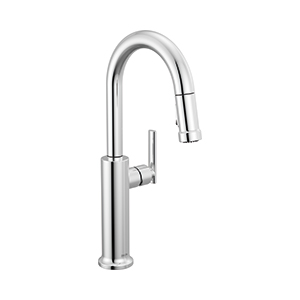 Pull-Down Bar/Prep Faucet