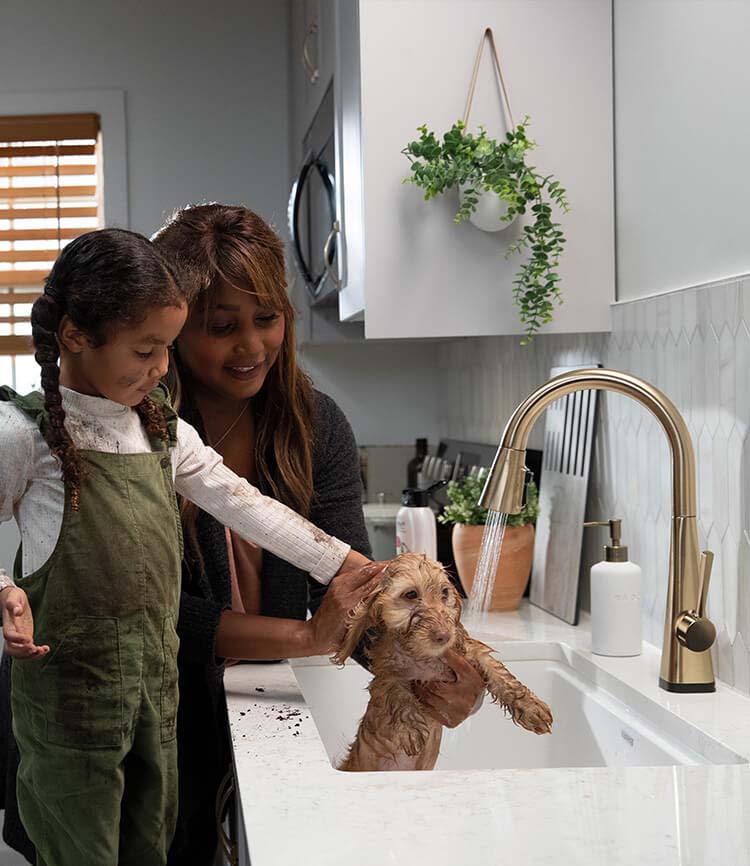 Delta Faucet Bathroom Kitchen