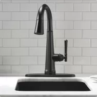 Explore Kitchen Faucets