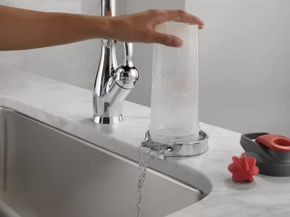 Delta® Glass Rinser