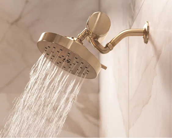 Champagne bronze Delta shower head with water filtration showers water
