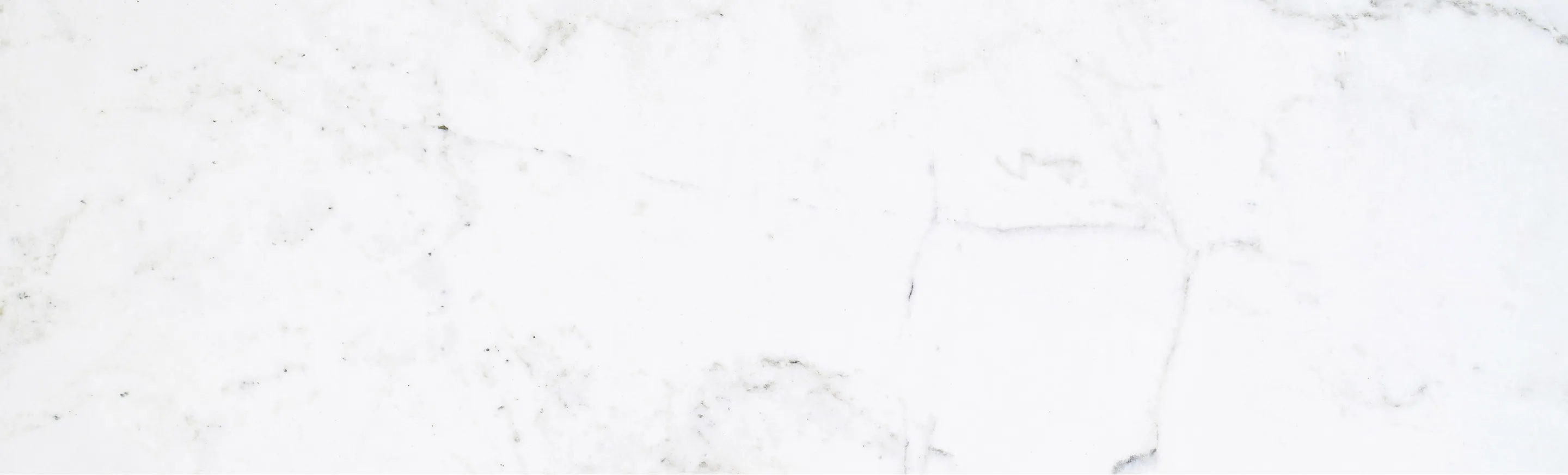 Background is close-up of white with black vein marble.